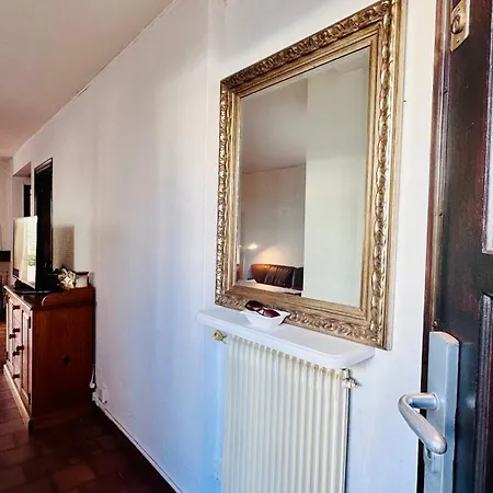 Camelia Yourhosthelper *